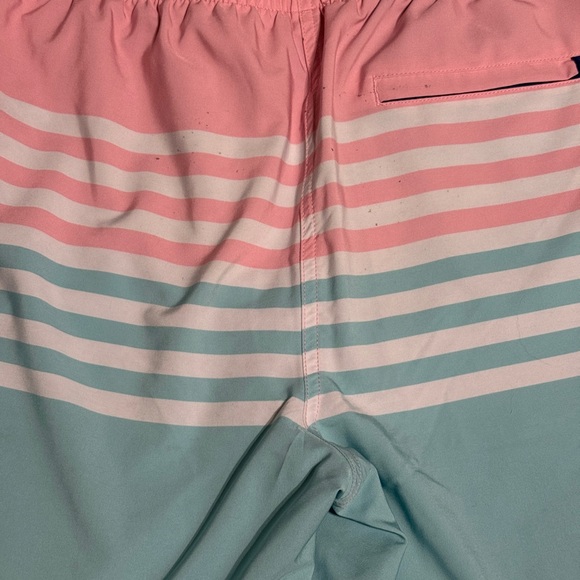 Chubbies On the Horizons 7" Size Medium Lined Striped Blue Pink Swim Men - Picture 4 of 4